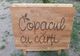 "Grădina din cărţi" de la Grădina Botanică din Bucureşti