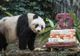 Ea este Jia Jia, cel mai bătrân urs panda din lume. Are 111 ani