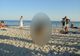S-au uitat și nu le-a venit să creadă. A apărut pe plajă, în miezul zilei, în fața turiștilor uluiți