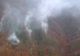 Incendiu la o pădure de conifere din Retezat. Circa șase hectare au fost deja distruse 