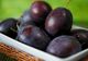 Tratamente naturiste cu prune: reglează glicemia și previn apariția diabetului 