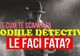 Uite cum te scanează zodiile detectiv! Le faci faţă? 