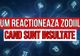 Cum reacţionează ZODIILE când sunt INSULTATE