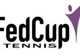 Cehia a anunţat echipa pentru partida de FED Cup cu România