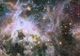 NASA a făcut o descoperire fără precedent. Acest roi stelar ascunde ceva greu de imaginat