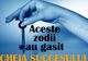 HOROSCOPUL ȘANSELOR ÎN VIAȚĂ. Care sunt zodiile predispuse la succes