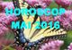 Horoscopul amoros al lunii mai 2016