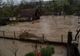 Avertizare meteo de ploi torenţiale. Imagini impresionante: inundaţiile fac prăpăd în ţară