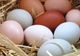 Diferenţa dintre oul alb şi cel cu coaja maro. Care este, de fapt, mai sănătos?