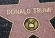 Steaua lui Donald Trump de pe ”Hollywood Walk of Fame”, vandalizată de un artist. Toți au râs