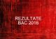 Rezultate BAC 2016. București vs Cluj vs Timiș vs Constanța. Unde au fost cele mai mari medii