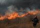 Incendiu de vegetație în Delta Văcărești din Capitală! Flăcările s-au întins pe 2.000 de metri VIDEO