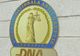 DNA: 18 lucrători de poliție DIPI, urmăriți penal