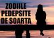 Acestea sunt ZODIILE PEDEPSITE DE SOARTĂ