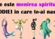 Care e menirea spirituală a zodiilor