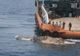 Descoperire înfiorătoare! Creatură misterioasă, scoasă din adâncuri. Marinarii au îngheţat de spaimă