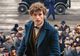 "Fantastic Beasts and Where to Find Them" se lanseză în cinematografele din România!
