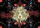 Horoscop 24 noiembrie 2016