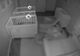 Au montat camere video în încăperea copiilor. Ce făceau în timpul nopţii este de-a dreptul amuzant