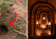Un lăcaș secret al templierilor, găsit sub o vizuină de iepuri. IMAGINI TULBURĂTOARE