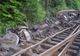 Tren de marfă deraiat în Hunedoara. Mecanicii au murit în accident