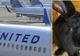 Neglijență criminală! Motivul ȘOCANT pentru care iepurele gigant a murit pe cursa United Airlines
