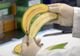 Descoperire ULUITOARE a cercetătorilor! Aceste banane ar putea salva viețile a sute de mii de copii 