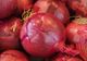 Amestecă ceapă cu miere și o boală extrem de neplăcută poate dispărea în câteva săptămâni