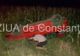 Accident în Constanţa. Şoferul susţine că nu-şi găseşte soţia,aflată în maşină. ŞOC! Unde era femeia