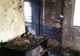 Nu avea curent de 4 ani, dar i-a ars casa din cauza unui scurtcircuit. Cum a fost posibil așa ceva