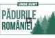 Cât a mai rămas din pădurile României?