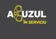 Infografic: Abuzul în serviciu