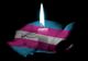 Ziua de Comemorare a Persoanelor Transgender:325 de persoane transgender ucise din ură în ultimul an