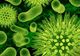 O superbacterie pentru care nu există tratament se răspândeşte îngrijorător în SUA