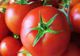 Roşii. De ce trebuie să mănânci roşii în fiecare zi