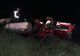 Accident grav lângă Caransebeş: un mort şi trei răniţi 