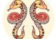 Prima impresie pe care o laşi oamenilor, în funcţie de horoscop. Cele mai obraznice zodii