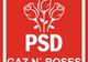 Cea mai buna parodie pentru sigla PSD, dupa proteste: ”Gaz'n Roses”