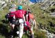 Turistă din Lituania, lovită de un șofer, pe Transfăgărăşan