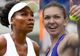 Simona Halep a zdrobit-o pe Venus Williams. Cu cine joacă în sferturi la Montreal