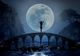Ce se întâmplă atunci când e lună plină 