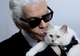 Choupette, pisica lui Karl Lagerfeld, va moşteni o avere fabuloasă