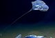 Creatura descoperită în ocean "nu seamănă cu nimic văzut până acum"