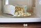 Cât de nesănătos este popcornul la microunde. Nu o să mai mănânci niciodată