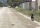 Cum arată drumul către casa celui mai mare sculptor român Constantin Brâncuși