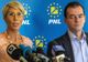 PNL solicită premierului numirea urgentă a unui ministru al Educației