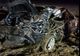FOTO VIDEO| Accident mortal la Medgidia. Mașină făcută praf