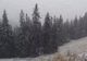 Ninge în toată regula în România. Județul unde iarna a început să se instaleze -VIDEO