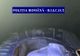 Percheziţii ale poliţiştilor şi procurorilor DIICOT pentru destructurarea unei grupări de contrabandă cu ţigări