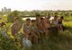 Povestea impresionantă a familiei cu 11 membri care a trăit timp de 20 de ani în sălbăticia din Delta Văcărești